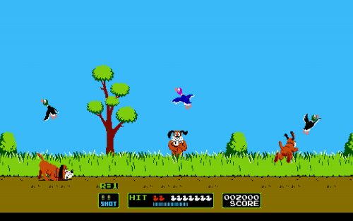 Duck Hunt Video Game